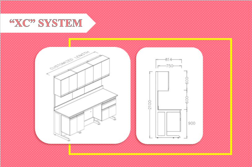 XC system