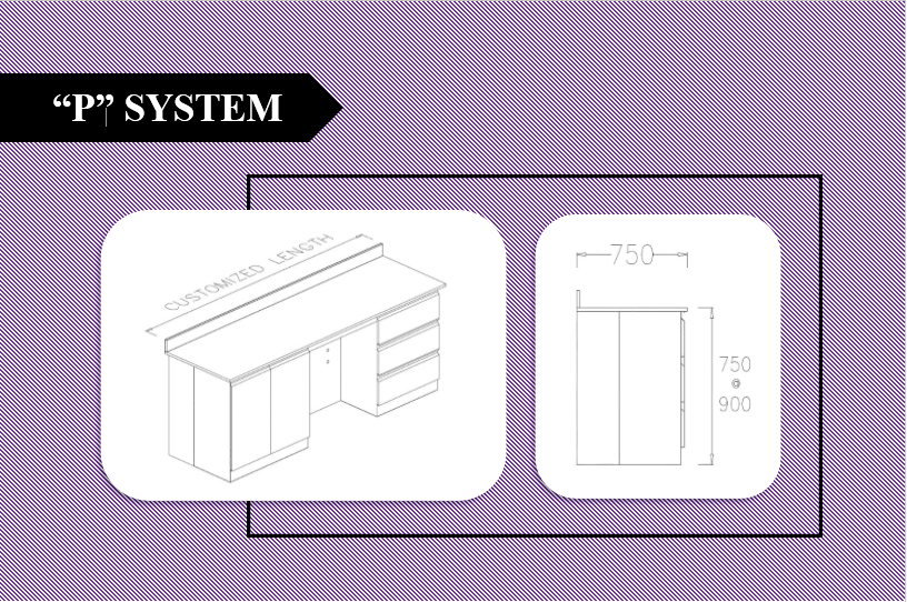 P System
