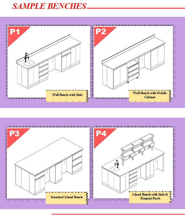 P System - Image 3