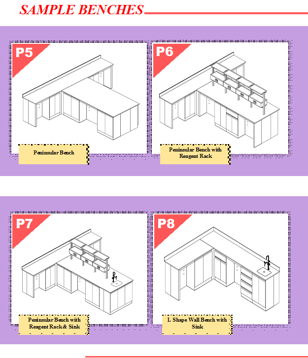 P System - Image 4